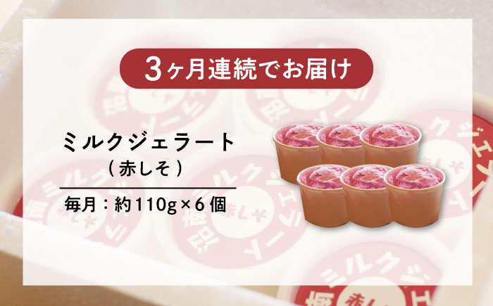【全3回定期便】沼南ミルクジェラート 赤しそ ６個　アイス  赤しそ  アイス アイスクリーム デザート スイーツ ご当地 広島県福山市/甚ごろう [BAEC039]