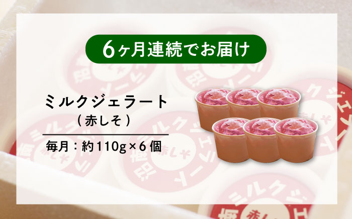 【全6回定期便】沼南ミルクジェラート 赤しそ ６個　アイス  赤しそ  アイス アイスクリーム デザート スイーツ ご当地 広島県福山市/甚ごろう [BAEC040]