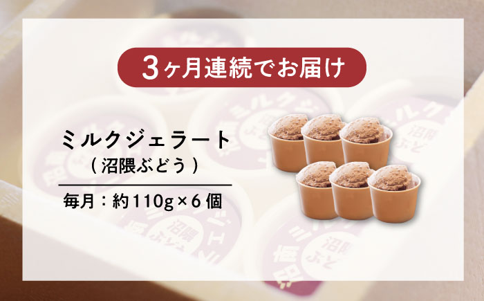 【全3回定期便】沼南ミルクジェラート 沼隈ぶどう ６個　アイス  ぶどう  アイス アイスクリーム デザート スイーツ ご当地 広島県福山市/甚ごろう [BAEC042]