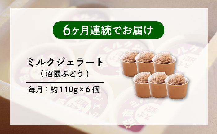 【全6回定期便】沼南ミルクジェラート 沼隈ぶどう ６個　アイス  ぶどう  アイス アイスクリーム デザート スイーツ ご当地 広島県福山市/甚ごろう [BAEC043]