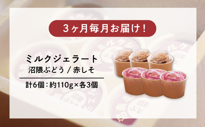 【全3回定期便】沼南ミルクジェラート 沼隈ぶどう＆赤しそ　各3個　食べ比べセット　アイス  ぶどう 赤しそ アイス アイスクリーム デザート スイーツ ご当地 広島県福山市/甚ごろう [BAEC046]