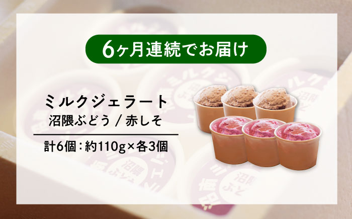 【全6回定期便】沼南ミルクジェラート 沼隈ぶどう＆赤しそ　各3個　食べ比べセット　アイス  ぶどう 赤しそ アイス アイスクリーム デザート スイーツ ご当地 広島県福山市/甚ごろう [BAEC047]