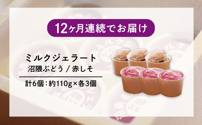 【全12回定期便】沼南ミルクジェラート 沼隈ぶどう＆赤しそ　各3個　食べ比べセット　アイス  ぶどう 赤しそ アイス アイスクリーム デザート スイーツ ご当地 広島県福山市/甚ごろう [BAEC048]