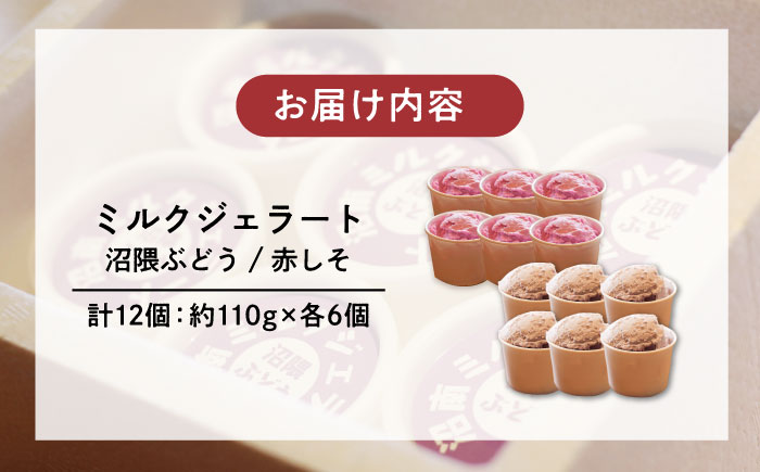 沼南ミルクジェラート 沼隈ぶどう＆赤しそ　各6個　食べ比べセット　アイス  ぶどう 赤しそ アイス アイスクリーム デザート スイーツ ご当地 広島県福山市/甚ごろう [BAEC049]
