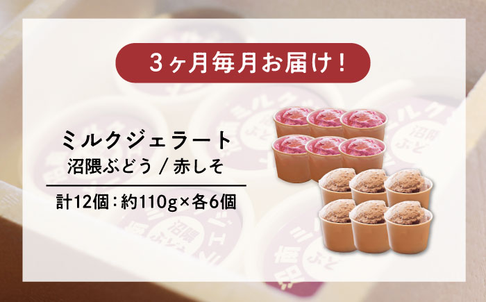 【全3回定期便】沼南ミルクジェラート 沼隈ぶどう＆赤しそ　各6個　食べ比べセット　アイス  ぶどう 赤しそ アイス アイスクリーム デザート スイーツ ご当地 広島県福山市/甚ごろう [BAEC050]