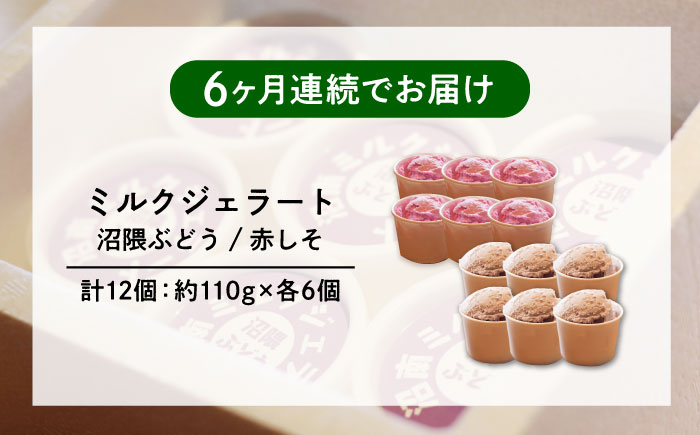 【全6回定期便】沼南ミルクジェラート 沼隈ぶどう＆赤しそ　各6個　食べ比べセット　アイス  ぶどう 赤しそ アイス アイスクリーム デザート スイーツ ご当地 広島県福山市/甚ごろう [BAEC051]