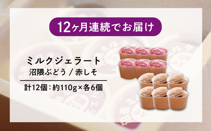 【全12回定期便】沼南ミルクジェラート 沼隈ぶどう＆赤しそ　各6個　食べ比べセット　アイス  ぶどう 赤しそ アイス アイスクリーム デザート スイーツ ご当地 広島県福山市/甚ごろう [BAEC052]