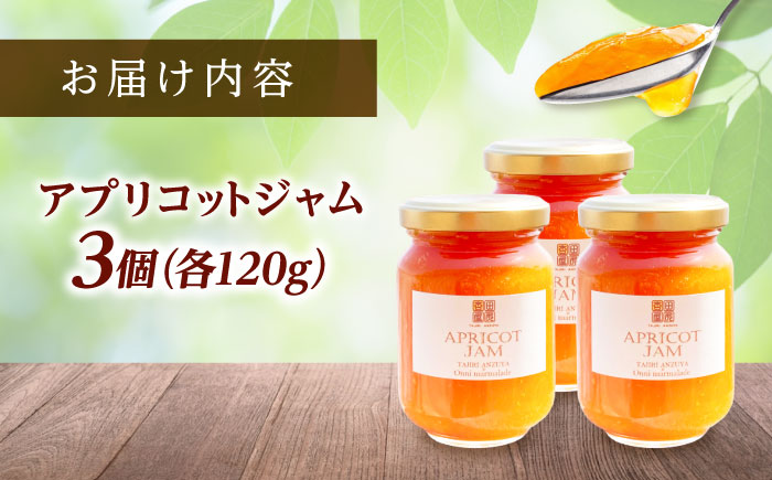 ジャム 田尻あんずのアプリコットジャム 120g 3個入り 広島県福山市/田尻杏屋 あんず アプリコット 杏 フルーツ 果物 [BAEK001]