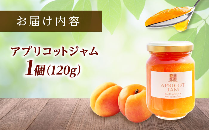 ジャム 田尻あんずのアプリコットジャム 120g 1個入り 広島県福山市/田尻杏屋 あんず アプリコット 杏 フルーツ 果物 [BAEK002]