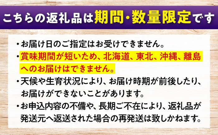 期間限定/8月下旬～9月上旬頃発送 沼隈ぶどう「ピオーネ」 約2kg×2 (8～10房)種なし 広島県福山市/福山市農業協同組合　沼隈グリーンセンター ぶどう ブドウ 葡萄 種なし 大粒 [BAEV006]