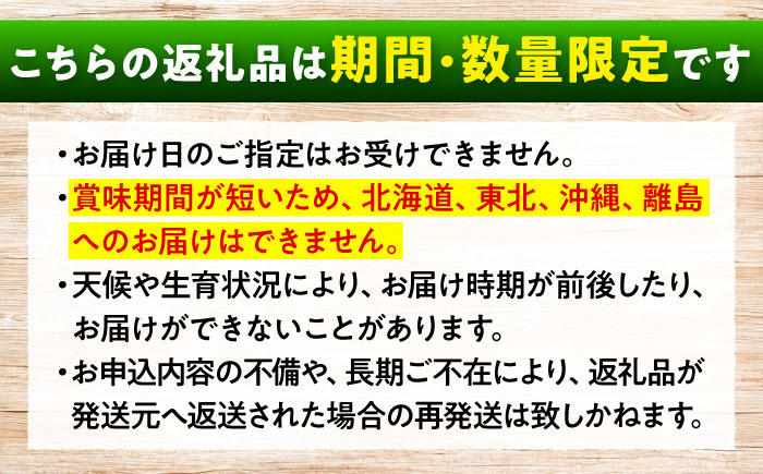 数量限定/9月上旬～9月下旬頃発送 沼隈ぶどう「シャインマスカット」 約2kg×2(8～10房) 広島県福山市/福山市農業協同組合　沼隈グリーンセンター ぶどう ブドウ 葡萄 種なし 大粒 マスカット [BAEV011]