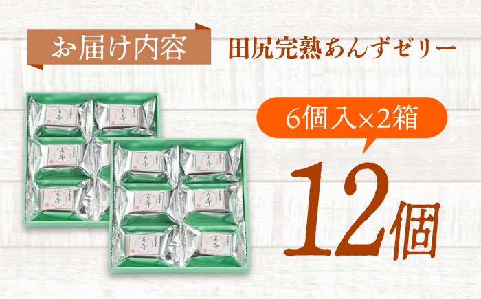 ゼリー 瀬戸内果実ぜりぃ 田尻あんずゼリー 12個入り ゼリー フルーツ デザート おやつ お菓子 スイーツ 甘い 広島県福山市/有限会社勉強堂 [BAFL004]