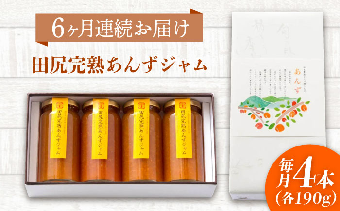 【全6回定期便】 ジャム 田尻完熟あんずジャム (4本)　 ジャム 果物 あんず パン 甘い 菓子 朝ごはん 広島県福山市/有限会社勉強堂 [BAFL009]
