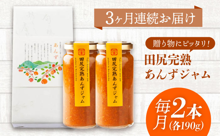 【全3回定期便】 ジャム 田尻完熟あんずジャム (2本)　ジャム 果物 あんず パン 甘い 菓子 朝ごはん 広島県福山市/有限会社勉強堂 [BAFL012]