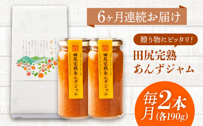 【全6回定期便】 ジャム 田尻完熟あんずジャム (2本)　ジャム 果物 あんず パン 甘い 菓子 朝ごはん 広島県福山市/有限会社勉強堂 [BAFL013]