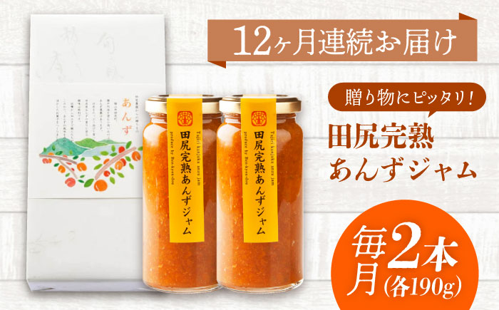 【全12回定期便】 ジャム 田尻完熟あんずジャム (2本)　ジャム 果物 あんず パン 甘い 菓子 朝ごはん 広島県福山市/有限会社勉強堂 [BAFL014]