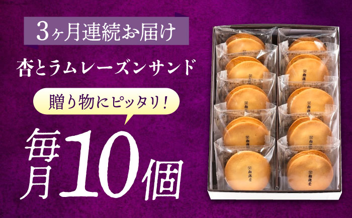【全3回定期便】 お菓子 杏とラムレーズンサンド 10個入り　お菓子 あんず おやつ 菓子 お茶 レーズン スイーツ 広島県福山市/有限会社勉強堂 [BAFL015]