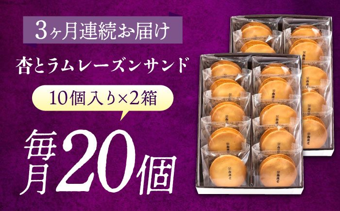 【全3回定期便】お菓子  杏とラムレーズンサンド 10個入り×2　お菓子 あんず おやつ 菓子 お茶 レーズン スイーツ 広島県福山市/有限会社勉強堂 [BAFL019]
