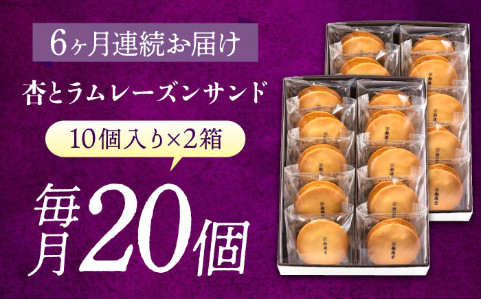 【全6回定期便】お菓子  杏とラムレーズンサンド 10個入り×2　お菓子 あんず おやつ 菓子 お茶 レーズン スイーツ 広島県福山市/有限会社勉強堂 [BAFL020]