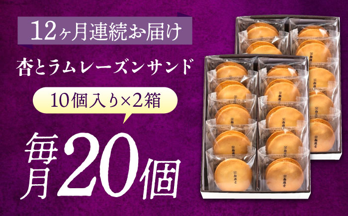 【全12回定期便】お菓子  杏とラムレーズンサンド 10個入り×2　お菓子 あんず おやつ 菓子 お茶 レーズン スイーツ 広島県福山市/有限会社勉強堂 [BAFL021]