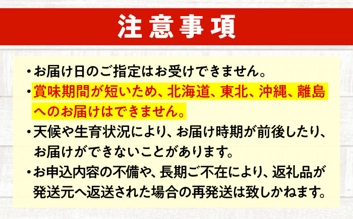 愛菜連のおまかせ野菜パック（６人用）野菜詰合せ 旬 旬の野菜 野菜セット 産地直送 ミネラル ビタミン 豊富　広島県福山市/マルフク株式会社 [BAFW002]