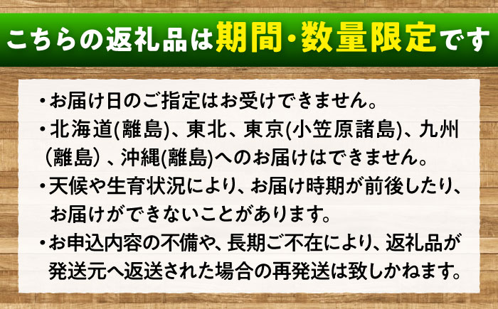 先行予約 【2026年9月中旬～9月下旬発送】 ぶどう食べ比べセット（ニューベリーA・シャインマスカット） 計1kg 広島県福山市/株式会社フジ・アグリフーズ ブドウ 食べ比べ セット ニューベリーA シャインマスカット [BAGF002]
