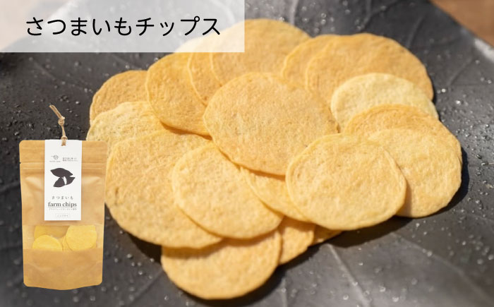 ファームチップスセット くわい ごぼう トマトバジル さつまいも 黒豆 野菜せんべい チップス スナック 和菓子 お菓子 詰め合わせ 広島県福山市/ワイオリファーム [BAGP001]