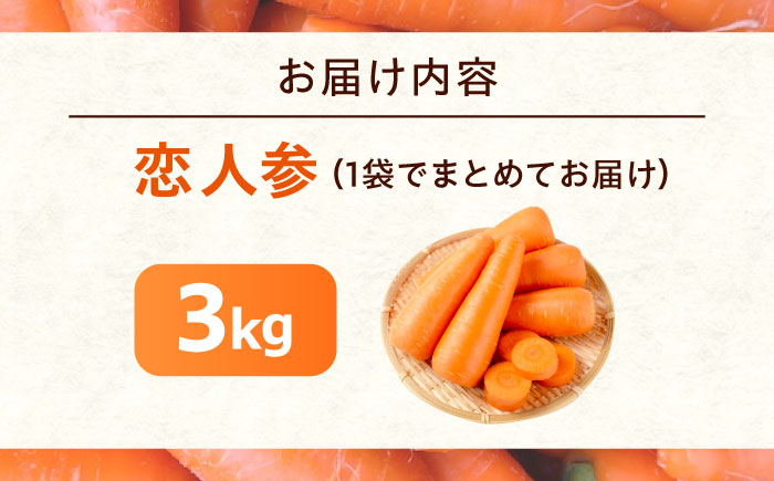 人参 3kg 人参 にんじん 野菜 やさい 旬の野菜 旬 季節 新鮮 採れたて 広島県福山市/しもみん農場 [BAGT003]