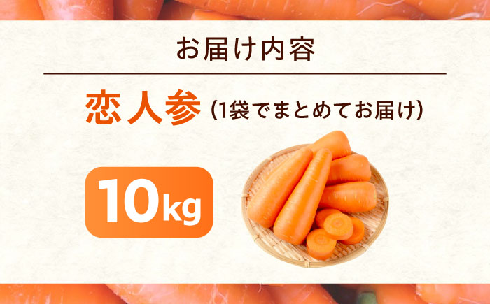 人参 10kg 人参 にんじん 野菜 やさい 旬の野菜 旬 季節 新鮮 採れたて 広島県福山市/しもみん農場 [BAGT004]