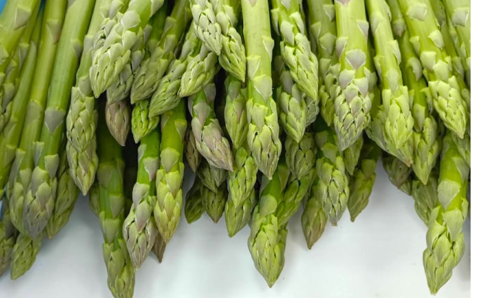 アスパラガス 1kg 広島県福山市/稲葉ライスセンター ふるさと納税 アスパラ 1kg 令和8年産 送料無料 野菜 アスパラ ふるさと納税 アスパラガス 広島県産 産地直送 [BAHB001]