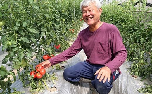 ピザ つつんでたすカルツォーネ 6個セット 福山工場長 冷凍 惣菜パン 包み焼きピザ マルゲリータ 広島県福山市/株式会社ダイエットクックサプライ [BACR001]