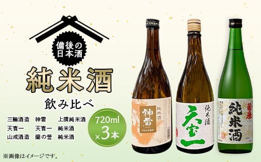 【びんご圏域連携】日本酒 備後の日本酒 純米酒 飲み比べセット 広島県福山市/株式会社斎藤商店 酒 日本酒 飲み比べ セット [BADI002]