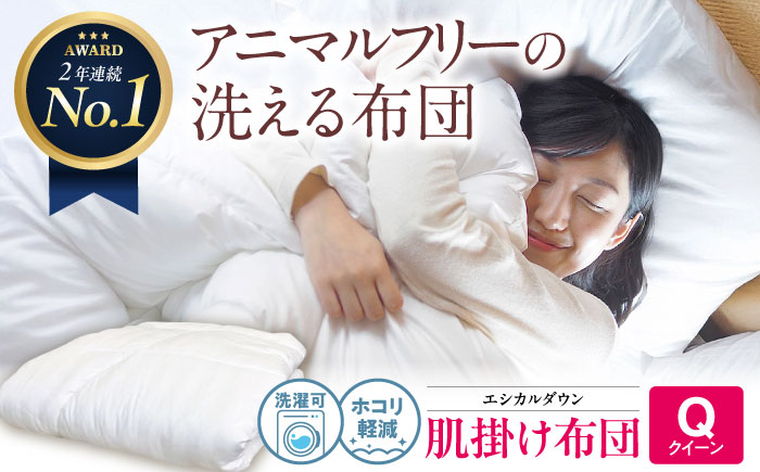 洗える 人工羽毛 肌掛け布団 クイーン エントリーモデル 広島県福山市/イシケン株式会社 掛け布団 掛けふとん 日本製  薄手 軽い 春 夏 寝具 アレルギー対策 [BAAK016]