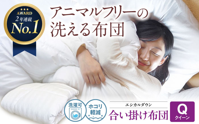 洗える 人工羽毛 合い掛け布団 クイーン エントリーモデル 広島県福山市/イシケン株式会社 羽毛 ふとん 中厚 軽い 日本製 春 秋 寝具 アレルギー対策 [BAAK020]