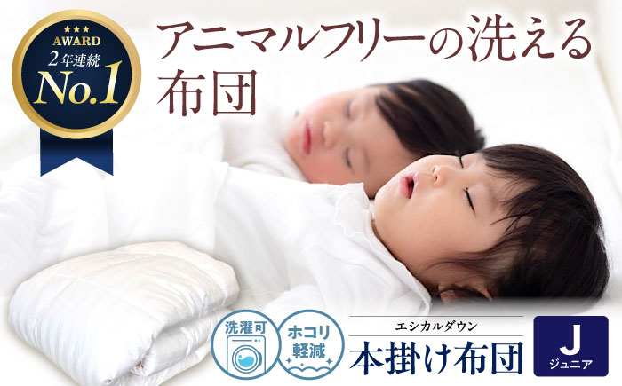 洗える 人工羽毛 掛け布団 〈ジュニア〉人工羽毛 エントリーモデル  広島県福山市/イシケン株式会社 2枚組 羽毛布団 羽毛ふとん 肌掛け 日本製 オールシーズン  寝具 アレルギー対策 [BAAK029]