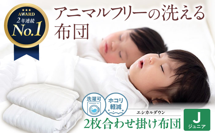 洗える 人工羽毛 2枚合わせ掛け布団 〈ジュニア〉人工羽毛 エントリーモデル 広島県福山市/イシケン株式会社 2枚組 羽毛布団 羽毛ふとん 肌掛け 日本製 オールシーズン  寝具 アレルギー対策 [BAAK030]