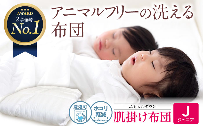洗える 人工羽毛 肌掛け布団 〈ジュニア〉人工羽毛 エントリーモデル 広島県福山市/イシケン株式会社 掛け布団 掛けふとん 日本製  薄手 軽い 春 夏 寝具 アレルギー対策 [BAAK031]