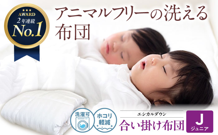 洗える 人工羽毛 合い掛け布団 〈ジュニア〉人工羽毛 エントリーモデル  広島県福山市/イシケン株式会社 羽毛 ふとん 中厚 軽い 日本製 春 秋 寝具 アレルギー対策 [BAAK032]