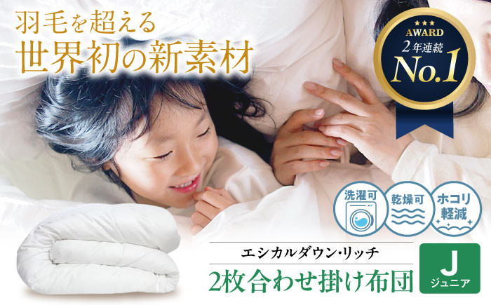 洗える 人工羽毛 2枚合わせ 掛け布団 ジュニア エシカルダウンリッチ 広島県福山市/イシケン株式会社 2枚組 羽毛布団 羽毛ふとん 掛けふとん 日本製 オールシーズン  寝具 アレルギー対策  サステナブル [BAAK088]