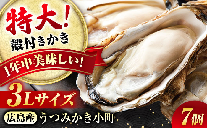 貝類 【冷蔵】 うつみかき小町殻付き 3Lサイズ×7個 広島県福山市/カネト海苔水産株式会社 牡蠣 かき 殻付 焼き牡蠣 うつみかき小町 かき小町 [BAAQ006]