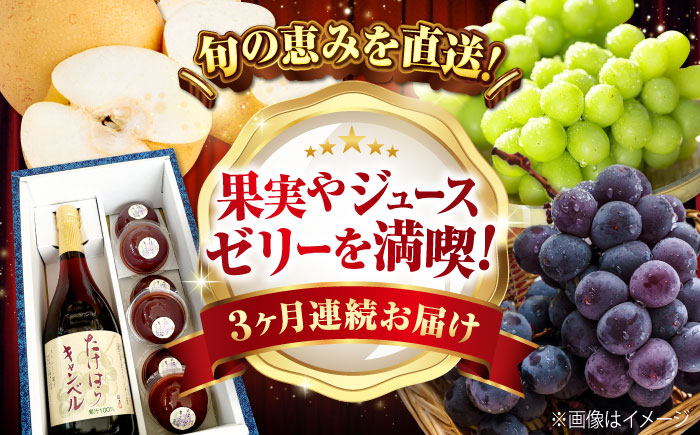 【びんご圏域連携】【全3回定期便 先行予約】 フルーツ 定期便 フルーツ定期便 （沼隈ぶどう・世羅なし・竹原キャンベル） 広島県福山市/一般社団法人世羅町観光協会 フルーツ 定期便 ぶどう 葡萄 なし 梨 ジュース ゼリー 果物 くだもの