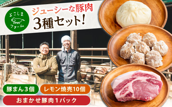 惣菜 豚まん・瀬戸田のレモン焼売・おまかせ豚肉セット 各1パック（180g～280g） 惣菜 詰め合わせ 豚まん シュウマイ 産地直送 肉 お肉 にく 食品 ギフト セット 広島県福山市/株式会社横島ファーム [BABT001]