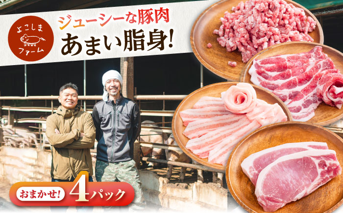 豚肉 うつみ潮風豚 精肉おまかせ4パックセット（1P/180g～280g） 豚肉 スライス 肉 お肉 にく 食品 国産 人気 おすすめ広島県福山市/株式会社横島ファーム [BABT002]
