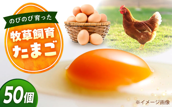 天心山 たまご 50個（10個入り×5パック） 卵 たまご 高級 食品 たまごかけご飯 卵かけご飯 卵焼き 生卵 濃厚 ケーキ お菓子 づくり ランキング 上位 人気 おすすめ 　広島県福山市/天心山ファーム [BABW015]