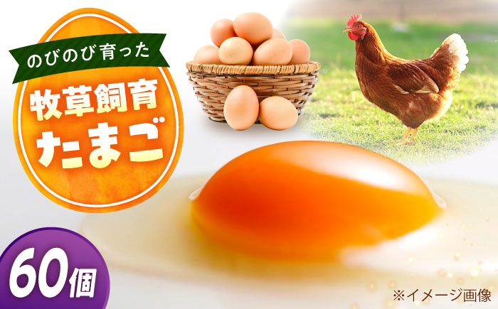 天心山 たまご 60個（10個入り×6パック） 卵 たまご 高級 食品 たまごかけご飯 卵かけご飯 卵焼き 生卵 濃厚 ケーキ お菓子 づくり ランキング 上位 人気 おすすめ 　広島県福山市/天心山ファーム [BABW016]