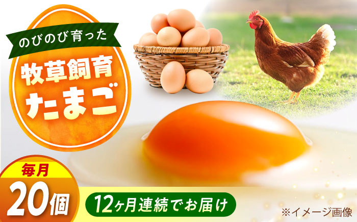 【全12回定期便】天心山 たまご 20個（10個入り×2パック） 卵 たまご 高級 食品 たまごかけご飯 卵かけご飯 卵焼き 生卵 濃厚 ケーキ お菓子 づくり ランキング 上位 人気 おすすめ 定期便　広島県福山市/天心山ファーム [BABW020]
