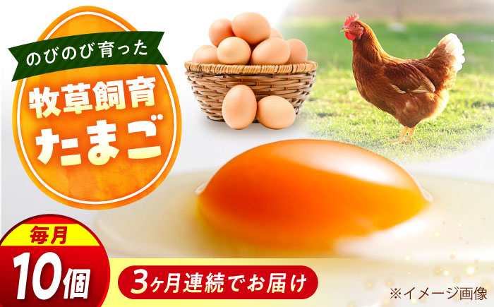 【全3回定期便】天心山 たまご 10個入り×1パック 卵 たまご 高級 食品 たまごかけご飯 卵かけご飯 卵焼き 生卵 濃厚 ケーキ お菓子 づくり ランキング 上位 人気 おすすめ 定期便　広島県福山市/天心山ファーム [BABW022]