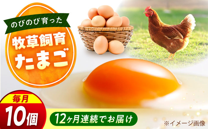 【全12回定期便】天心山 たまご 10個入り×1パック 卵 たまご 高級 食品 たまごかけご飯 卵かけご飯 卵焼き 生卵 濃厚 ケーキ お菓子 づくり ランキング 上位 人気 おすすめ 定期便　広島県福山市/天心山ファーム [BABW024]