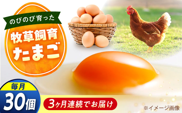 【全3回定期便】天心山 たまご 30個（10個入り×3パック） 卵 たまご 高級 食品 たまごかけご飯 卵かけご飯 卵焼き 生卵 濃厚 ケーキ お菓子 づくり ランキング 上位 人気 おすすめ 定期便　広島県福山市/天心山ファーム [BABW026]