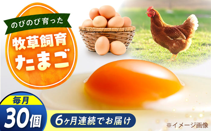 【全6回定期便】天心山 たまご 30個（10個入り×3パック） 卵 たまご 高級 食品 たまごかけご飯 卵かけご飯 卵焼き 生卵 濃厚 ケーキ お菓子 づくり ランキング 上位 人気 おすすめ 定期便　広島県福山市/天心山ファーム [BABW027]